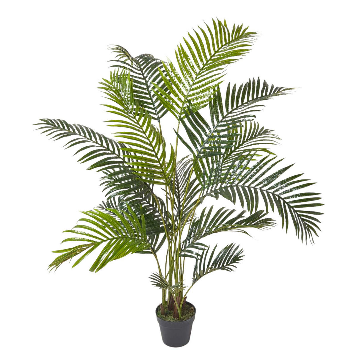 KUNSTPALME Areca, 160 cm - Grün, Kunststoff (160cm) - Homescapes