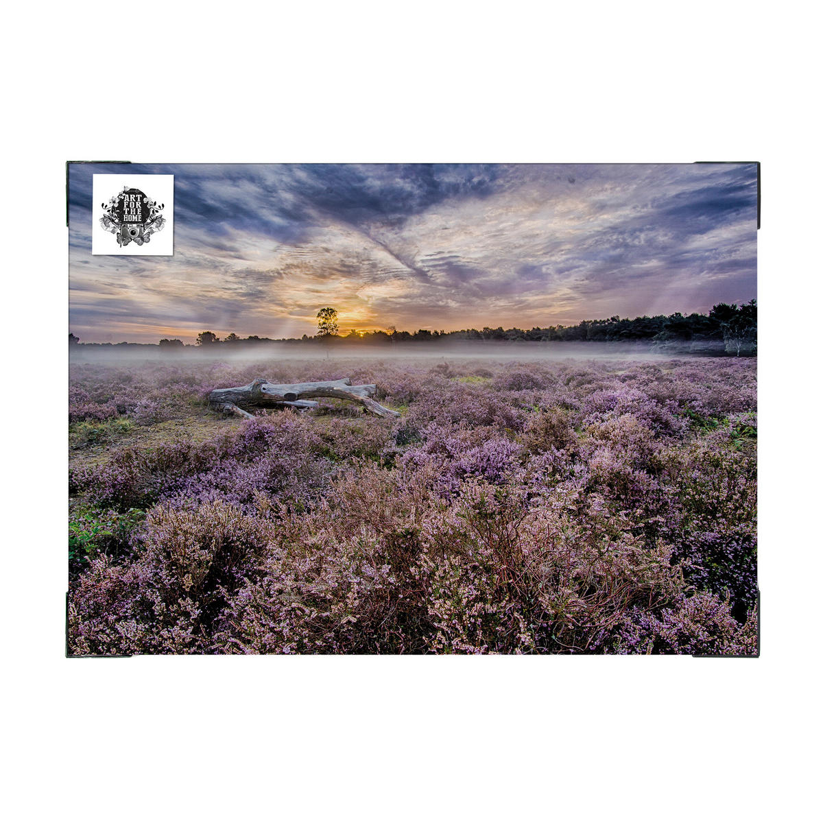 LEINWANDBILD Außenbereich Lavendelfeld 50x70cm - Lila, Holzwerkstoff (50/50cm) - Art for the Home