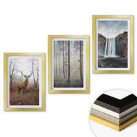 WANDBILDER 3er Set - 20x30 cm Goldrahmen - Waldlandschaften, wilde Natur - Goldfarben, Kunststoff (20/30cm) - ArtPrintCave