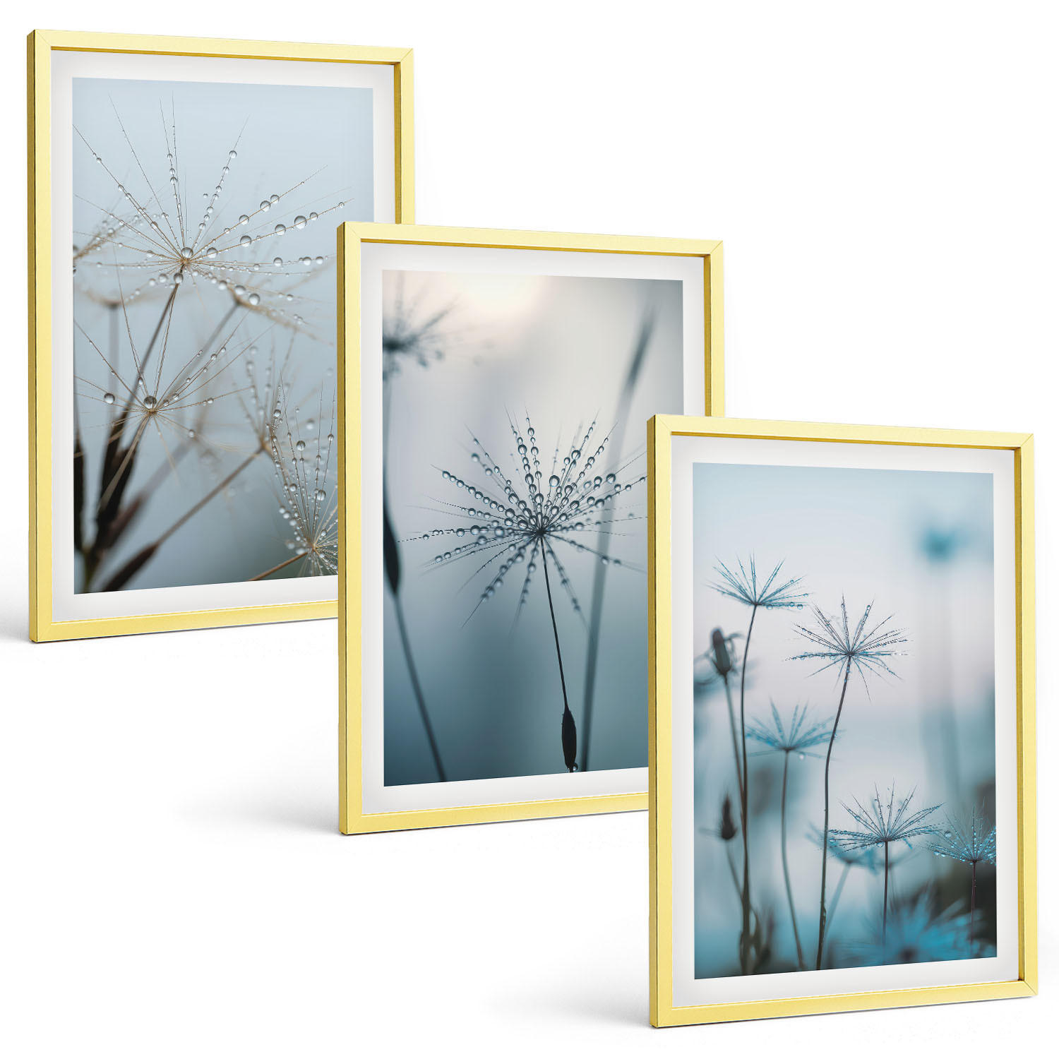 BILDER SET 3er Set - 40x60 cm Goldrahmen - Löwenzahn mit Wassertropfen - Goldfarben, Kunststoff (40/60cm) - TULUP