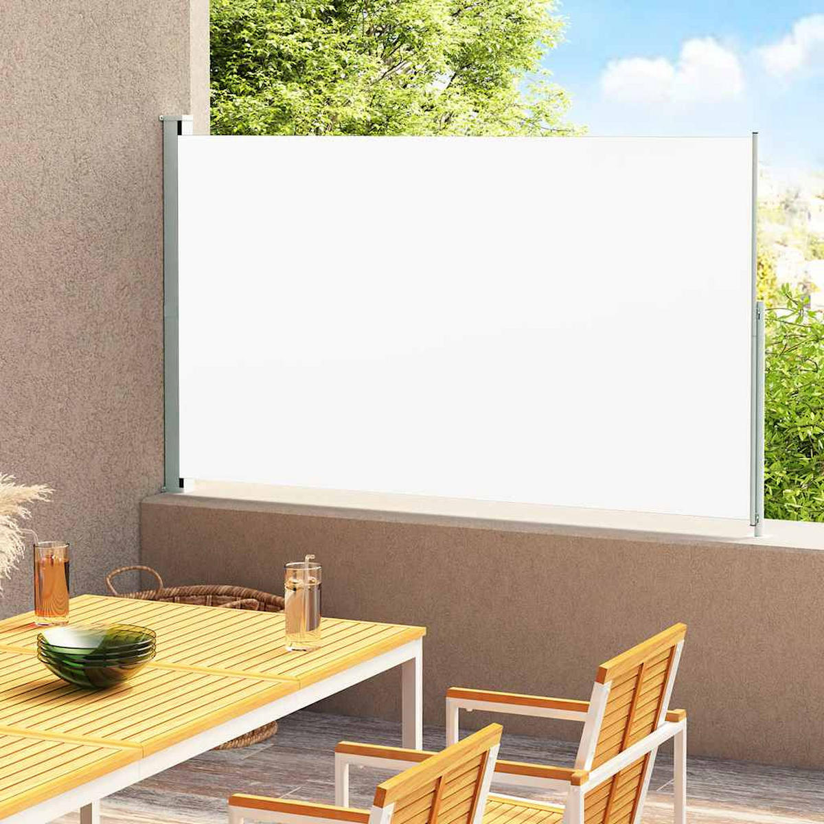 SEITENMARKISE Ausziehbar 220x300 cm Creme - Creme, Textil (300/220/300cm) - furnicato
