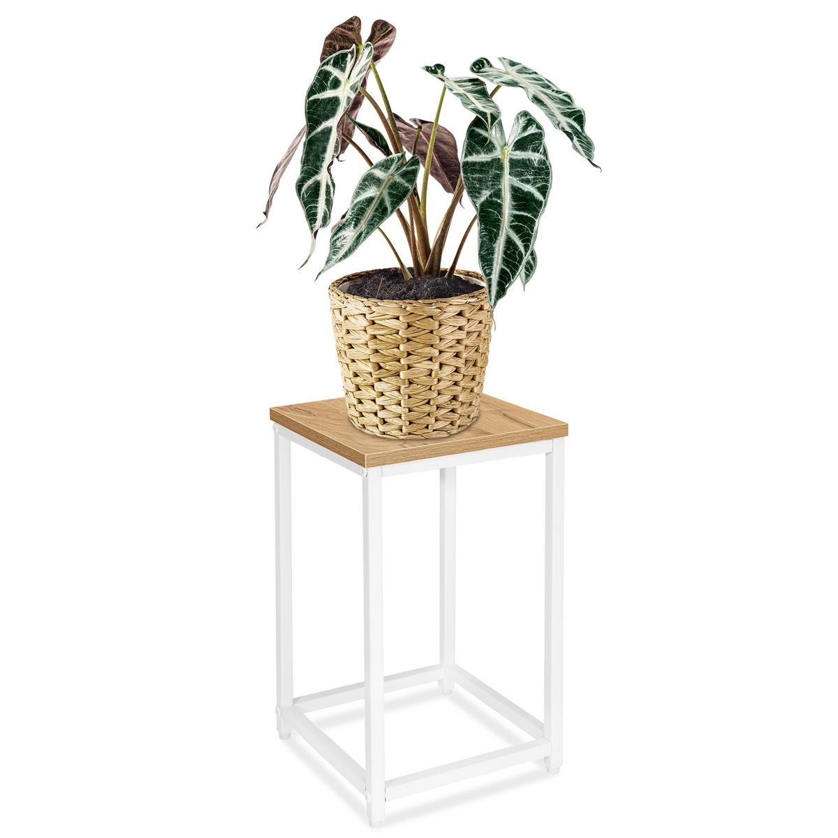 BLUMENSTÄNDER - Eichefarben, Holzwerkstoff/Metall (24/24/42.5cm) - Mat-Haus