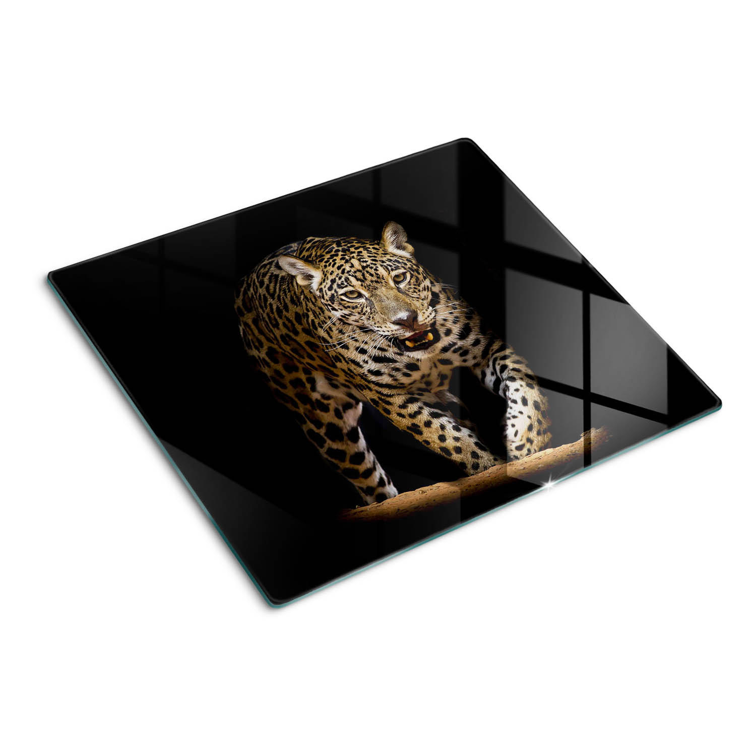 GLASPLATTE 60x52 cm Jaguar - Grau, Glas (60/0.4/52cm) - TULUP