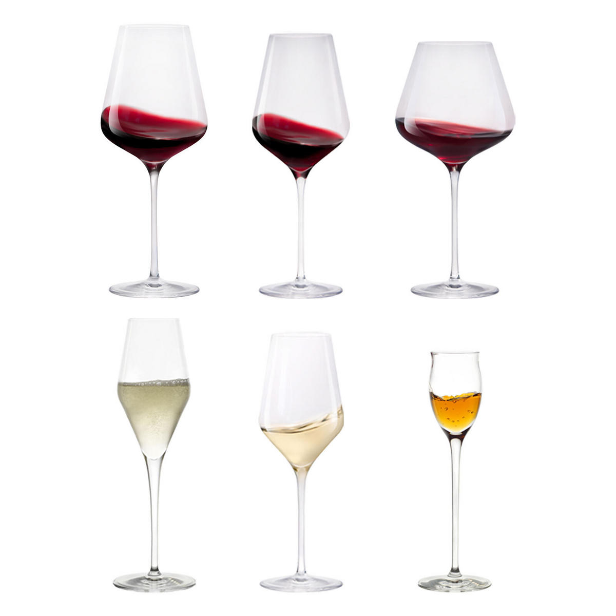 WEIN- UND SEKTGLÄSER Quatrophil transparent 36er Set - Transparent, Glas - Stölzle Lausitz