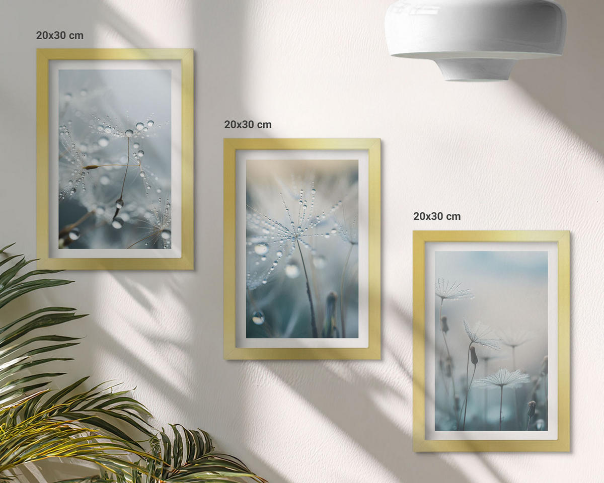 WANDBILDER 3er Set - 20x30 cm Goldrahmen - Tautropfen auf Löwenzahn - Goldfarben, Kunststoff (20/30cm) - ArtPrintCave