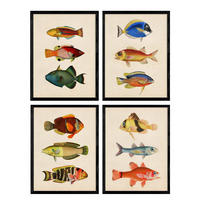 POSTER Set Mit 4 Mexikanische Totenköpfe A4 Schwarzer Rahmen - Schwarz, Papier (29.7/3cm) - Nacnic