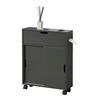SEITENSCHRANK Kempele - Dunkelgrau, Holzwerkstoff (52/67/17cm) - [en.casa]
