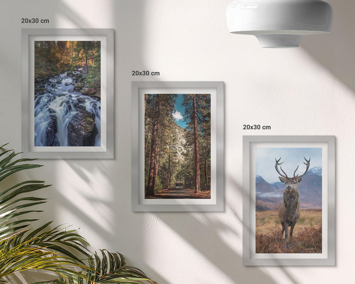 WANDBILDER 3er Set - 20x30 cm Silberner Rahmen - Wasserfall Wald Berge Hirsch Natur - Silberfarben, Kunststoff (20/30cm) - ArtPrintCave