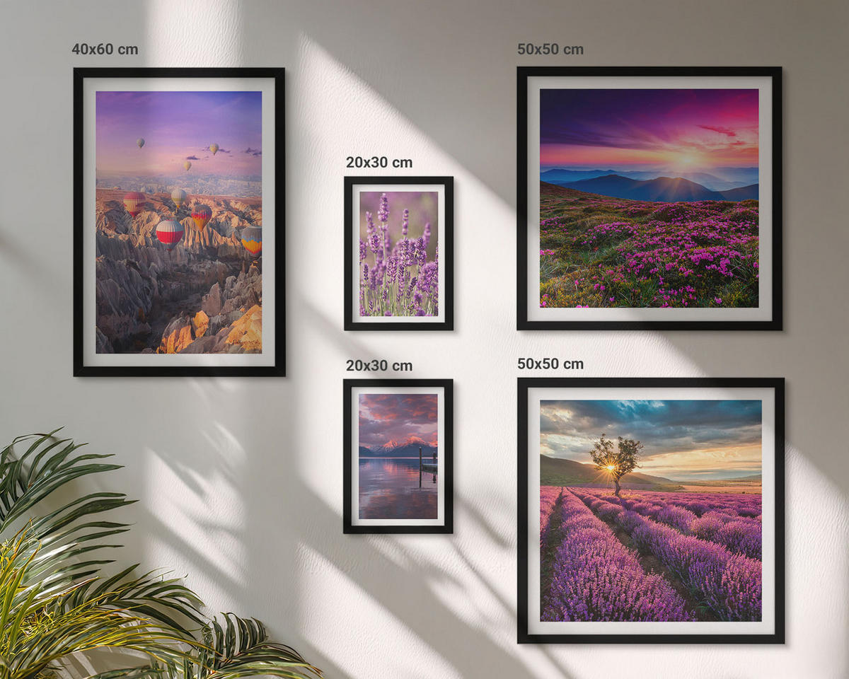 BILDER SET 5er Set - 50x50 cm & 20x30 cm & 40x60 cm Schwarzer Rahmen - Sonnenuntergang auf Lavendelfeldern - Schwarz, Kunststoff (40/60cm) - TULUP