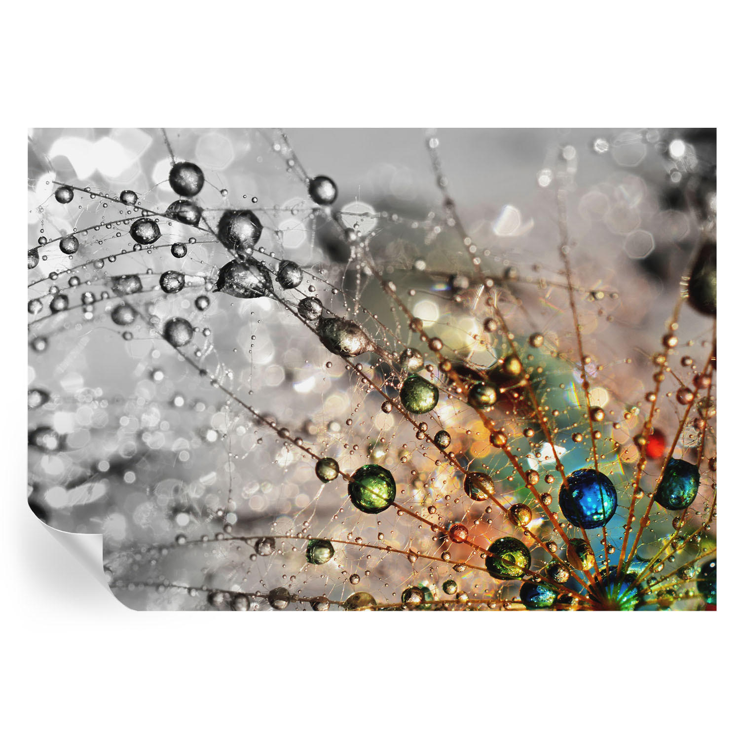 FOTOTAPETE 208x146 cm - Ich Taujuwelen - Weiß, Textil (208/146cm) - Wallfluent