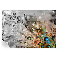 FOTOTAPETE 208x146 cm - Ich Taujuwelen - Weiß, Textil (208/146cm) - Wallfluent