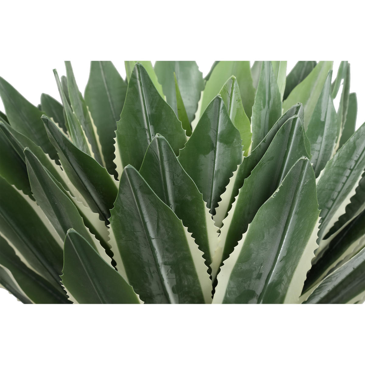 KUNSTPFLANZE Succulent Grün 70/70/50cm - Grün, Kunststoff (50cm) - PTMD Collection