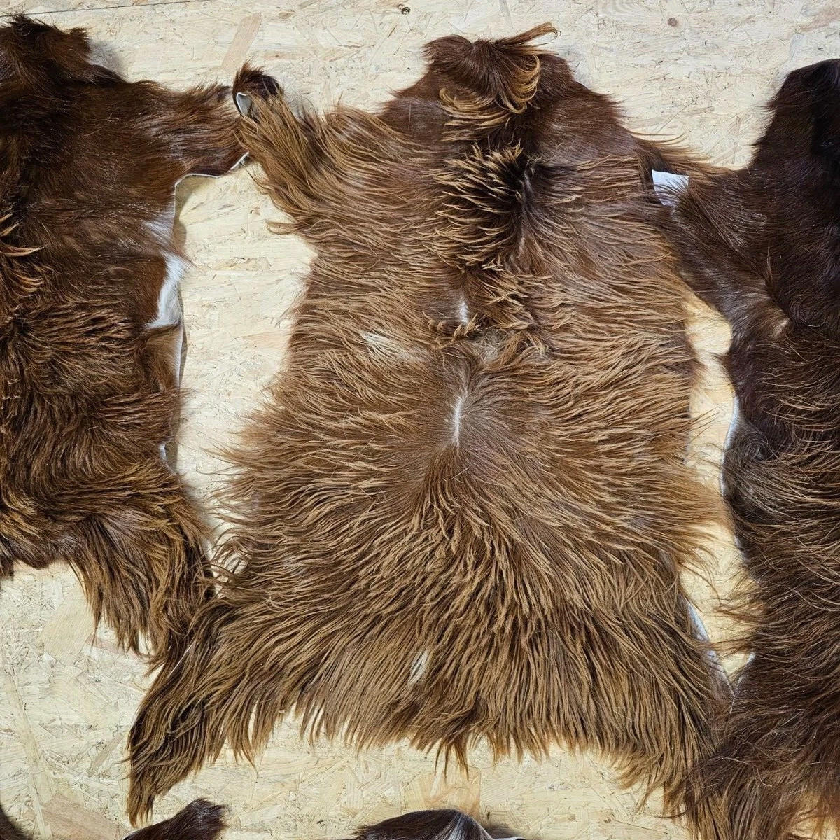 FELL Ziegenfell Braunlich Naturfarben Teppich ca. 90 cm 1.Wahl - Braun, Fell (50/90cm) - Provellus