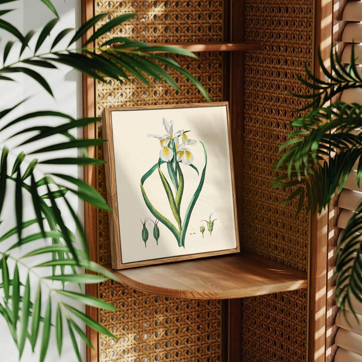 LEINWANDBILD mit Rahmen Iris Botanisch 20 x 25 cm - Multicolor, Holz (20/0.5cm)