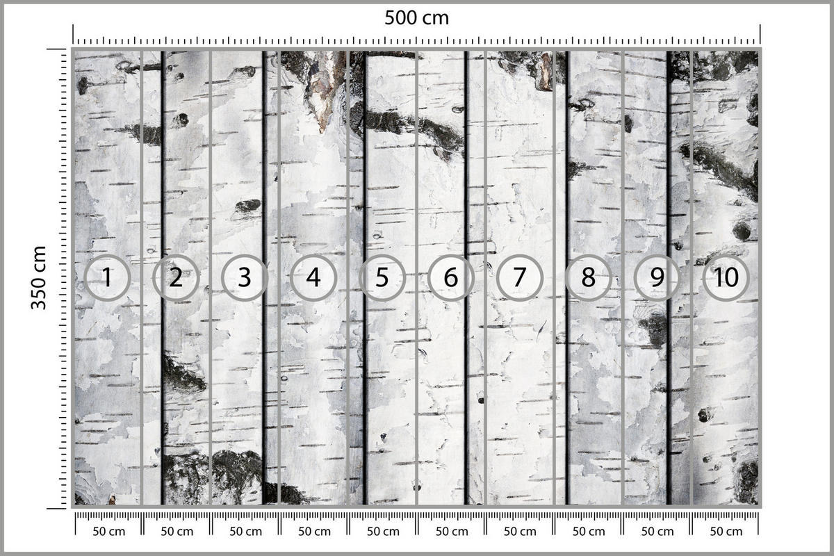 FOTOTAPETE für Schlafzimmer Birkenrinden Imitation Weiß Baum 500x350 - Schwarz/Weiß, Papier (500/350cm) - Muralo