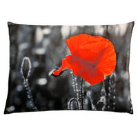 KISSENBEZUG Fotodruck 40x60 cm Blume - Multicolor, Textil (40/60cm) - TiborTex