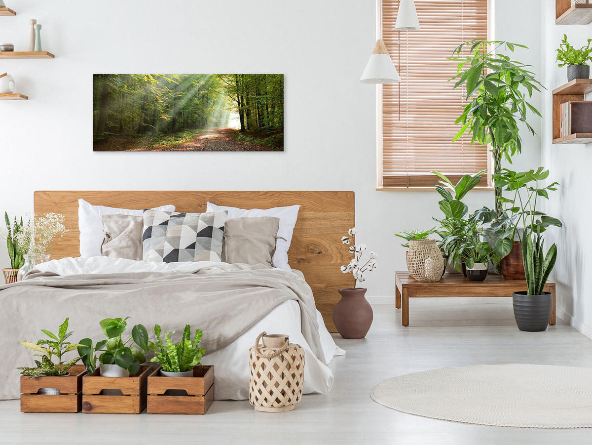 GLASBILD 125x50 cm Landschaft Wald grün - Braun, Glas (125/50cm) - artissimo