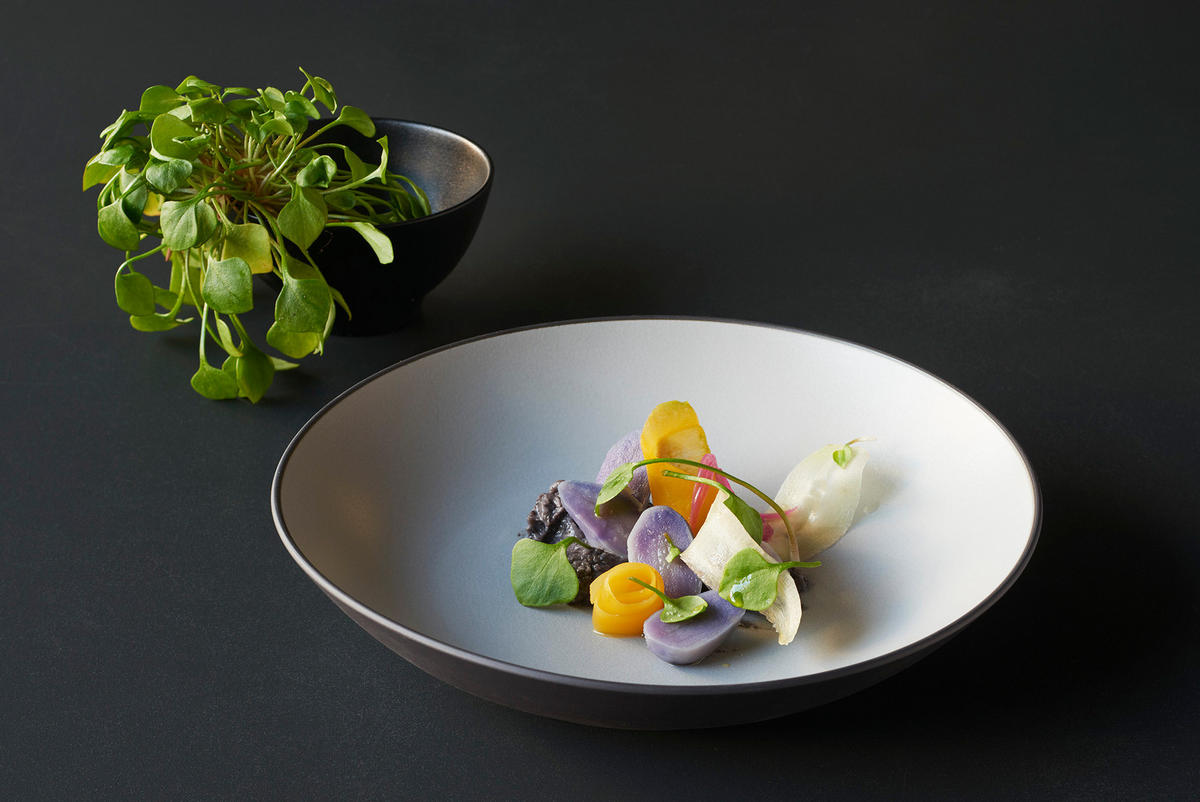 REISSCHALE / DESSERTSCHALE EQUINOXE 30 cl Gusseisener optik - Multicolor, Keramik (12cm) - Revol Porcelaine France