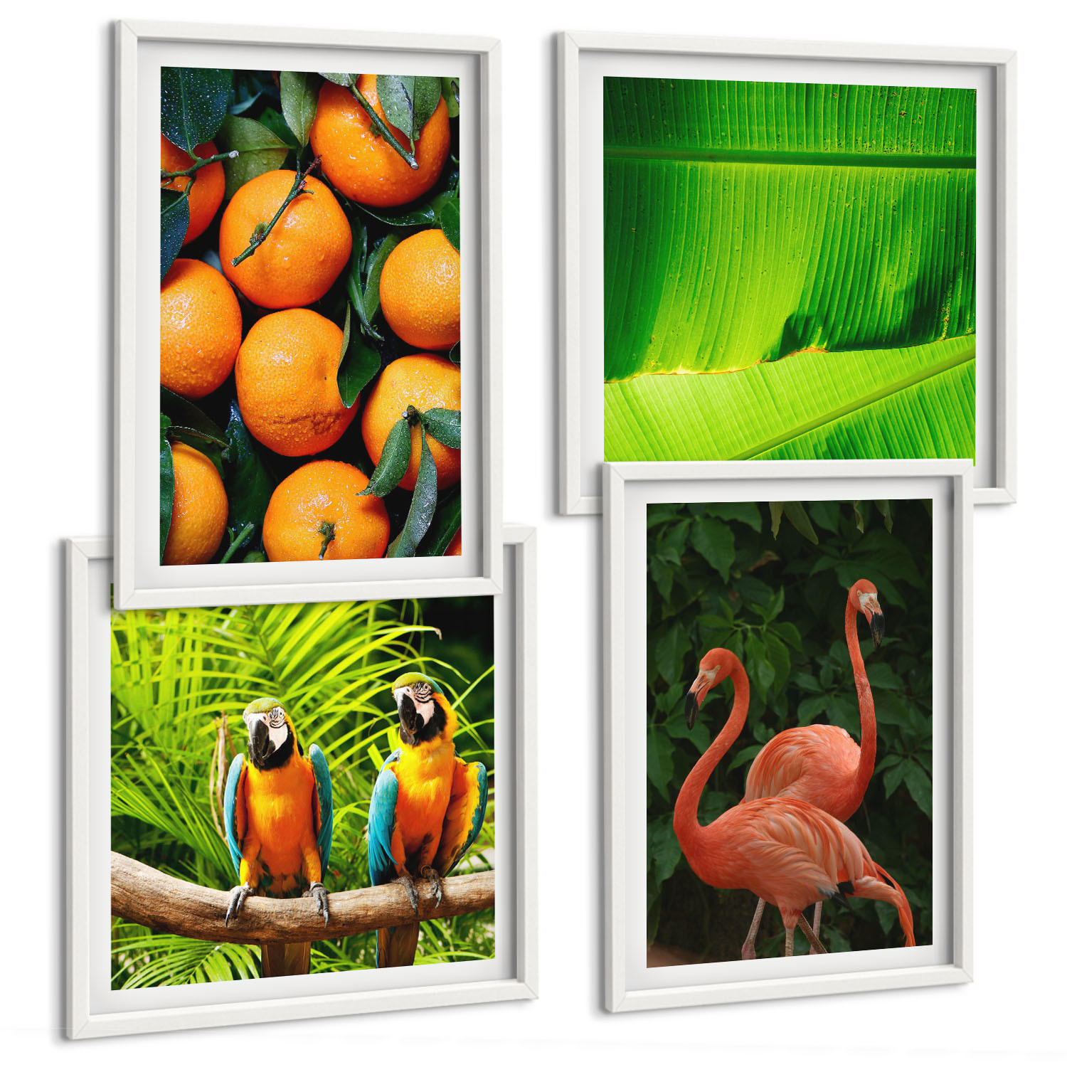 BILDER SET 4er Set - 50x50 cm & 40x60 cm Weißer Rahmen - Fruchtige Akzente der Tropen - Weiß, Kunststoff (50/50cm) - TULUP