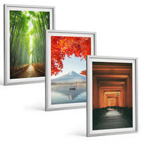 BILDER SET 3er Set - 40x60 cm Silberner Rahmen - Fuji-Bambuswaldlandschaft - Silberfarben, Kunststoff (40/60cm) - TULUP