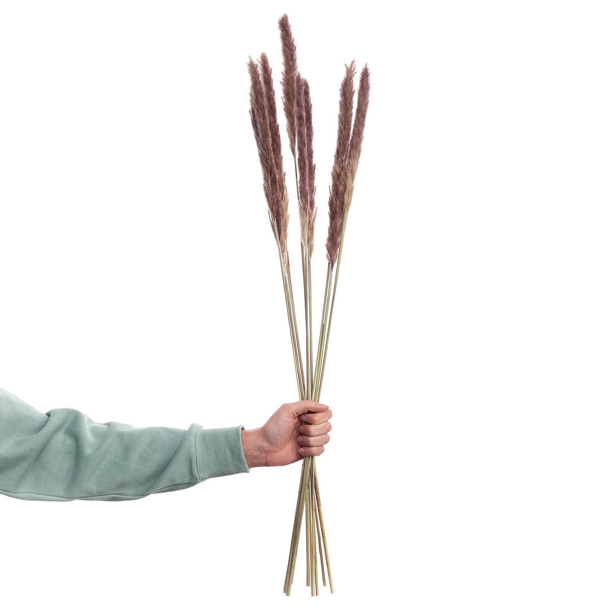 TROCKENBLUMEN SCHLEIERKRAUT Flower Market - Braun, Naturmaterialien (1cm) - Butlers