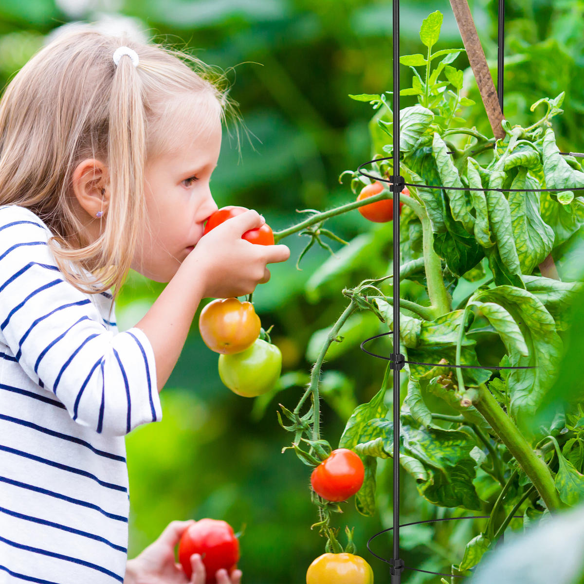 3xRANKHILFE - Schwarz, Kunststoff/Metall (28/150/28cm) - Relaxdays