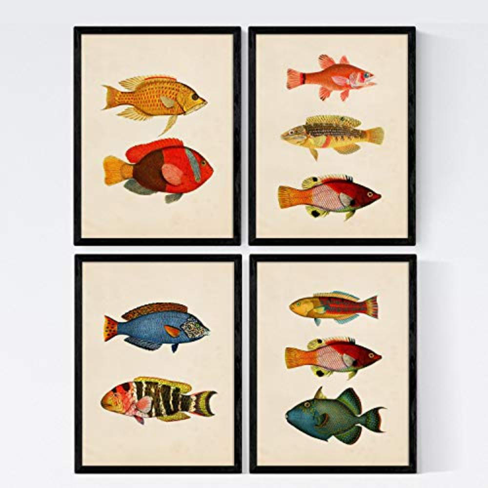 POSTER Set mit 4 Malediven 10 verschiedenen Fischen A4 Rahmenlos - Klar, Papier (29.7/3cm) - Nacnic
