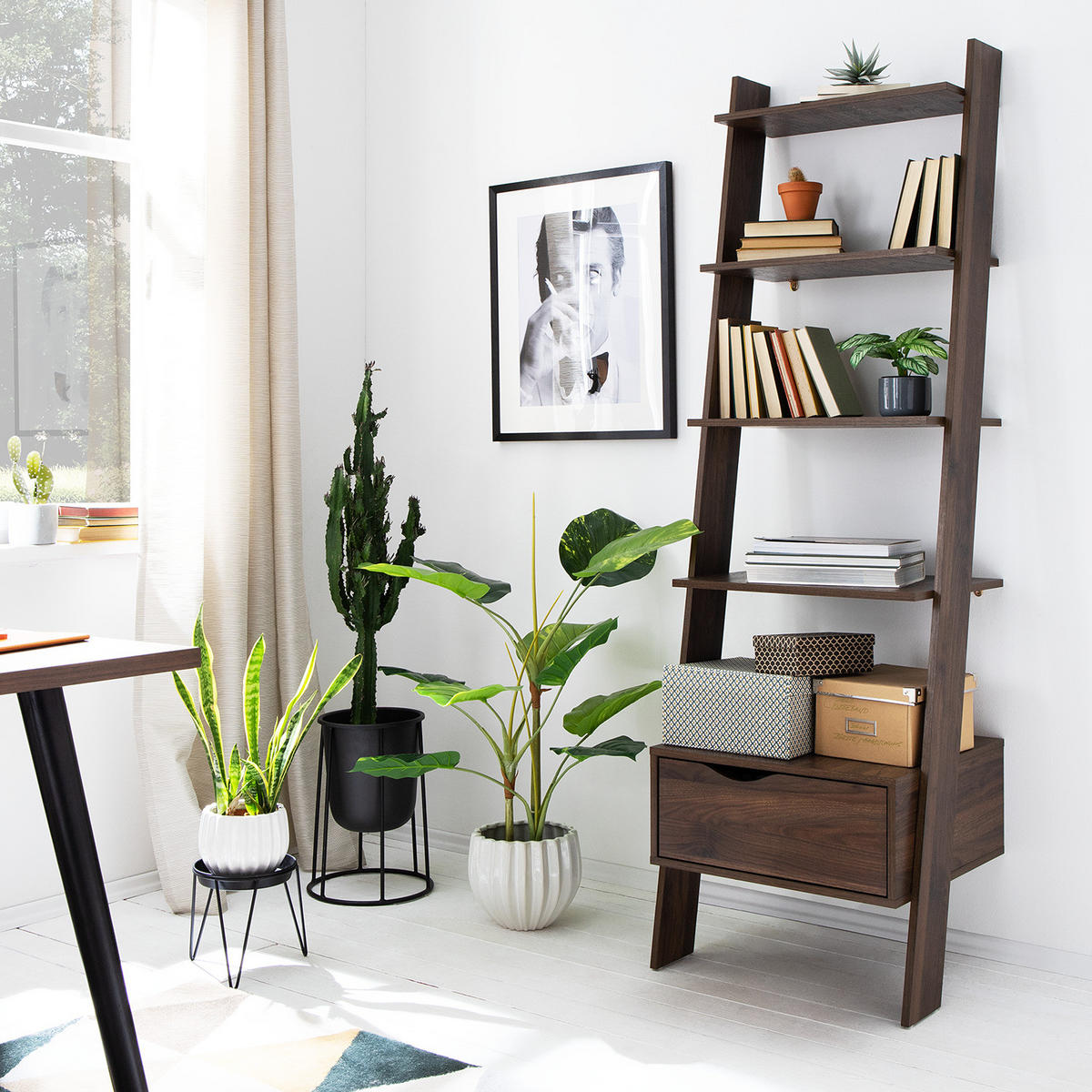 REGAL - Walnuss Dekor - Walnussfarben, Holzwerkstoff (55/180/48cm) - home24