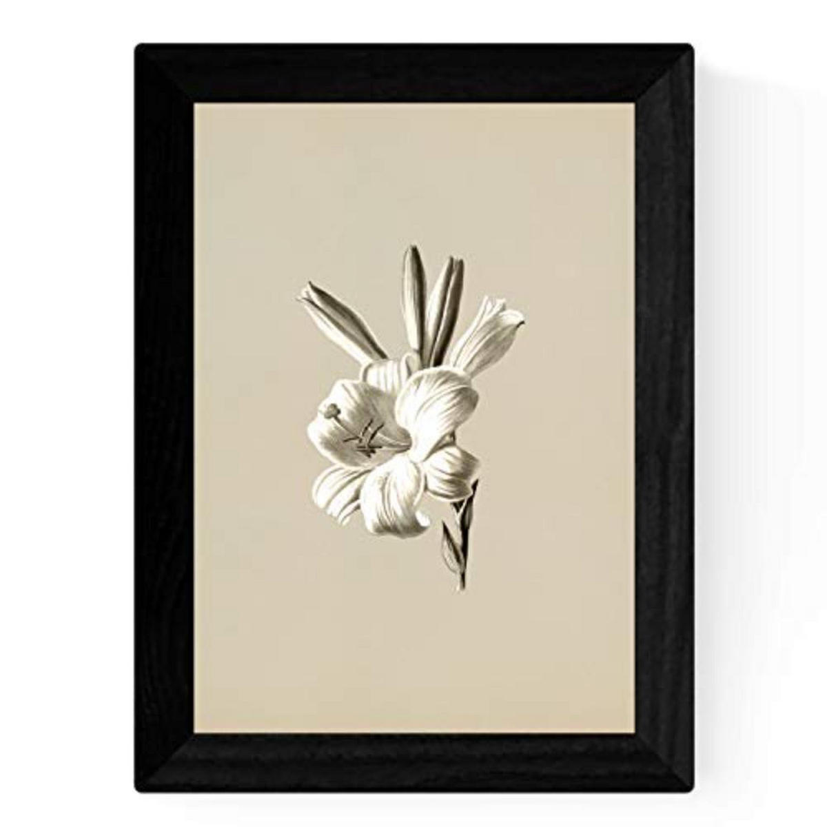 POSTER Set mit 4 Botanische Jahrgang Hintergrund helle Blumen A3 Rahmenlos - Klar, Papier (29.7/3cm) - Nacnic