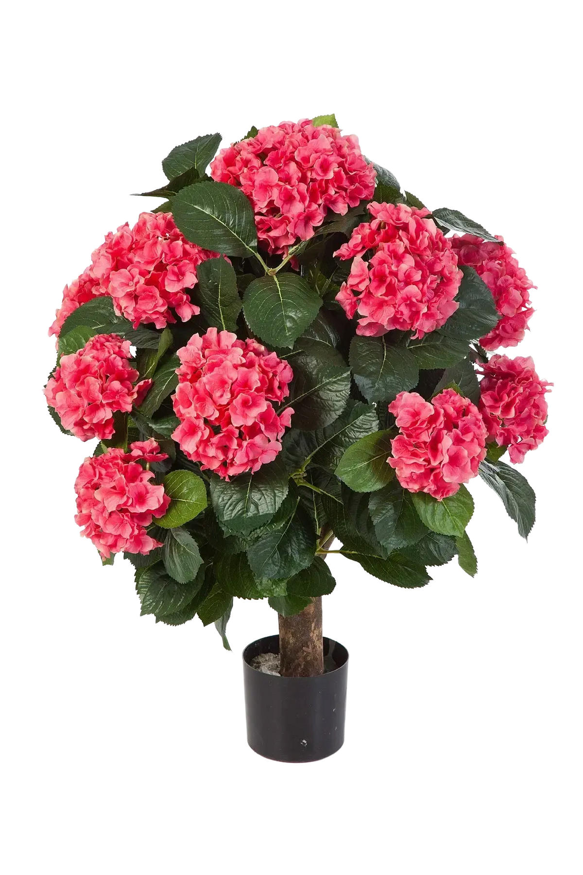 HORTENSIEN Künstliche Hortensie - Nils 62 cm - Rot, Kunststoff (62cm) - aplanta