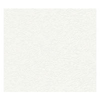 VLIESTAPETE Weiß 53/1005 cm - Weiß, Textil (53/1cm) - KUNSTLOFT