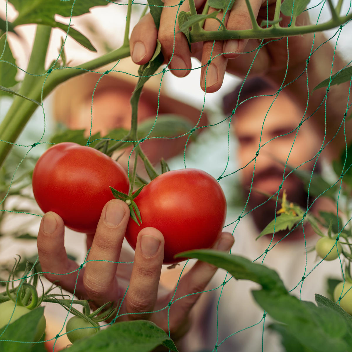 RANKNETZ - Grün, Kunststoff (750/200/0.1cm) - Relaxdays