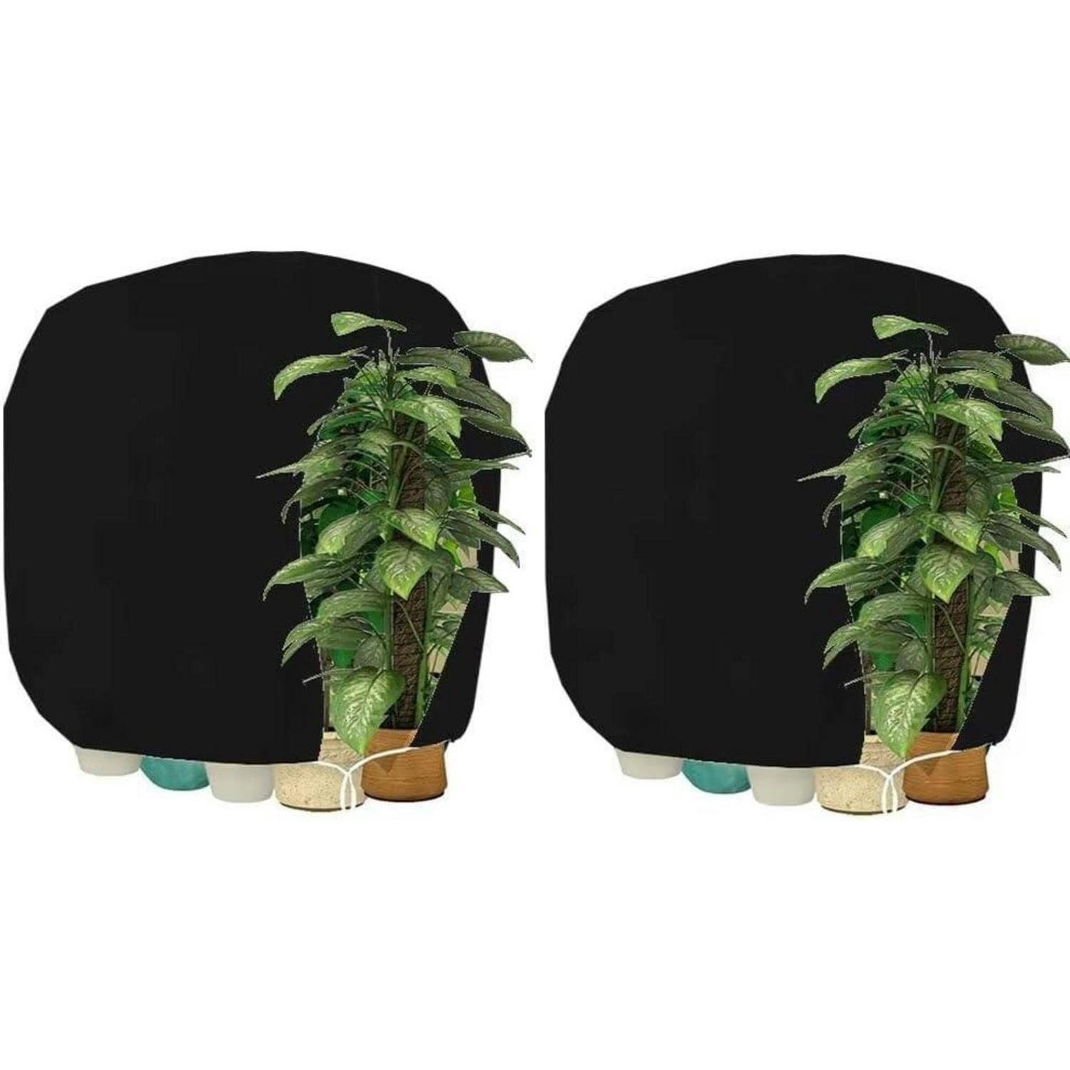 XXXLutz Pflanzenschutzhaube Schwarz 200x1x240 cm