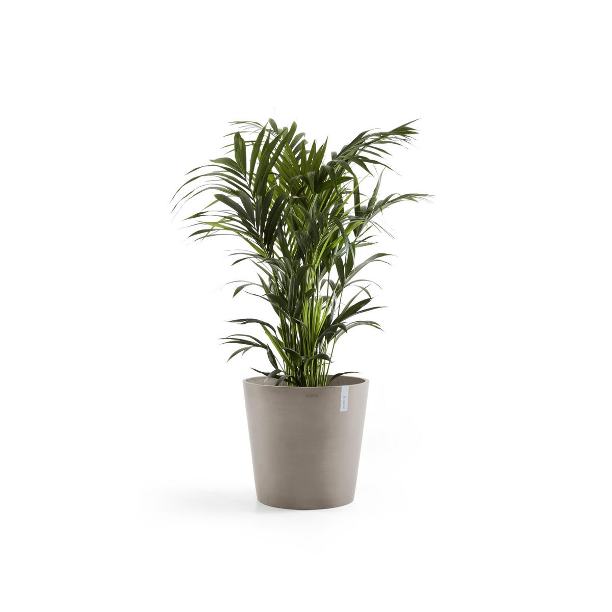 BLUMENTOPF Amsterdam 59/55,5 cm Taupe - Taupe, Kunststoff (59/55.5cm) - Ecopots