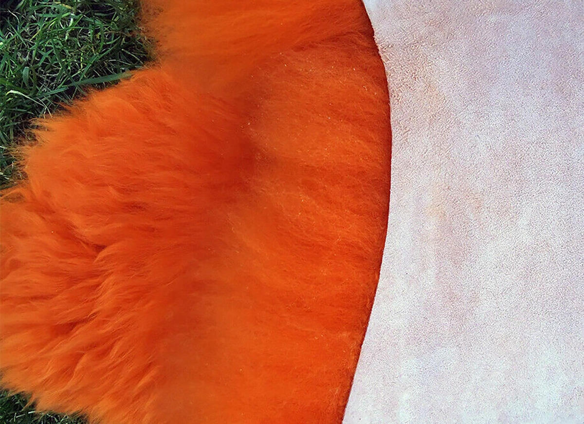 LAMMFELL Öko bunt gefärbt weich Fell Teppich Orange ca. 90 cm - Orange, Fell (50/90cm) - Provellus