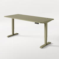SCHREIBTISCH Elektrisch Höhenverstellbarer HomePro 180x80cm Grün/Grün mit Memory-Funktion, Anti-Kollisions Technologie - Grün, Holzwerkstoff (80/180/62cm) - Desktronic