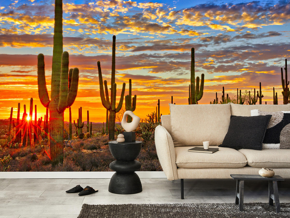 FOTOTAPETE für Wohnzimmer Wüsten Sonnenuntergang Kaktus Pflanzen 250x175 - Gelb/Beige, Papier (250/175cm) - Muralo