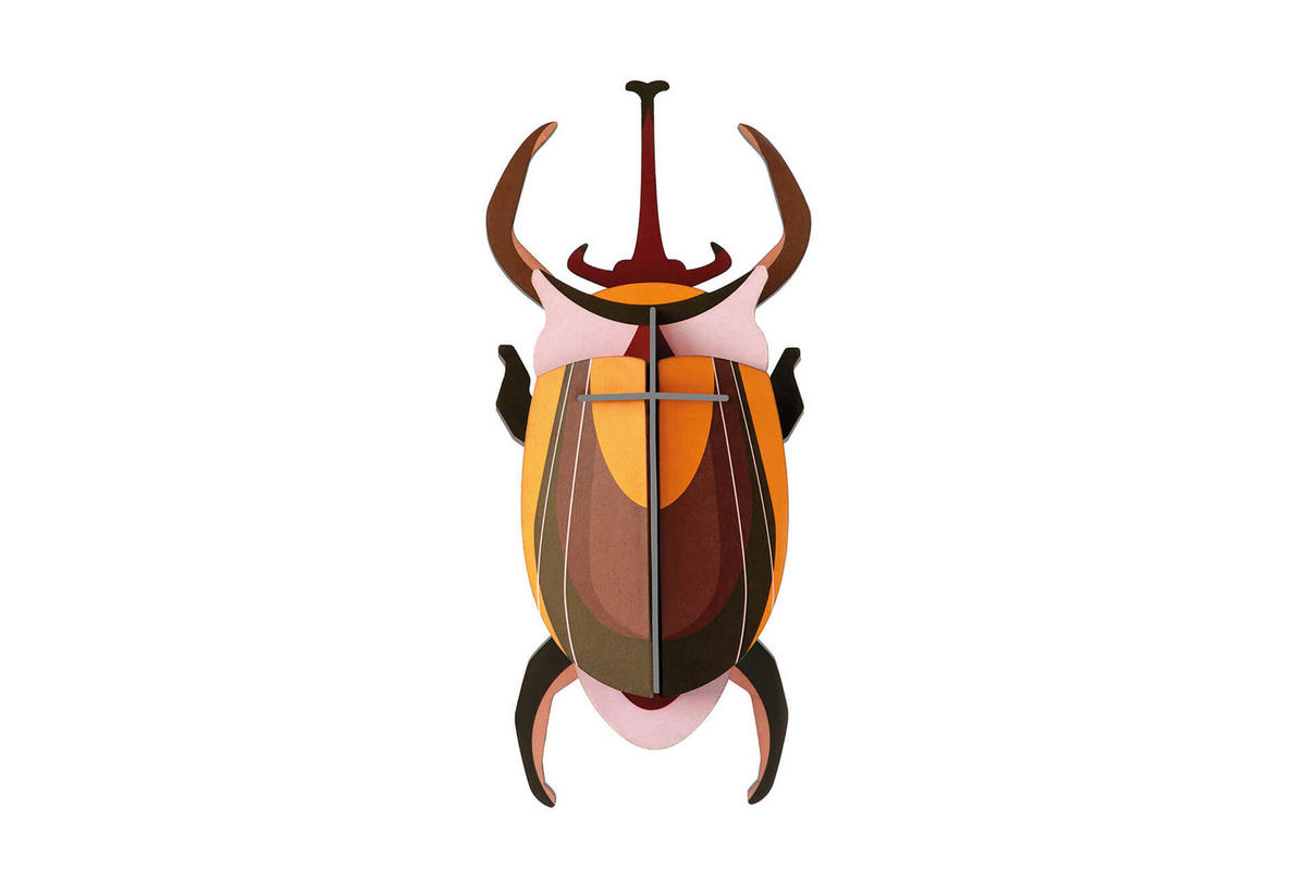 WANDDEKO Elefantenkäfer 8/5.5 cm - Braun/Orange, Wellpappe (8/5.5/18cm) - KUNSTLOFT