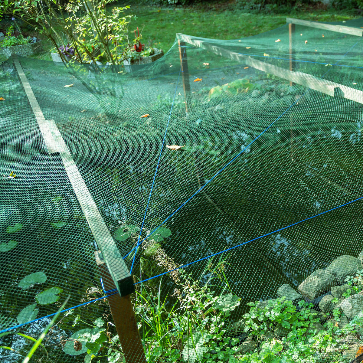 3xVOGELNETZ - Grün, Kunststoff (1000/400cm) - Relaxdays