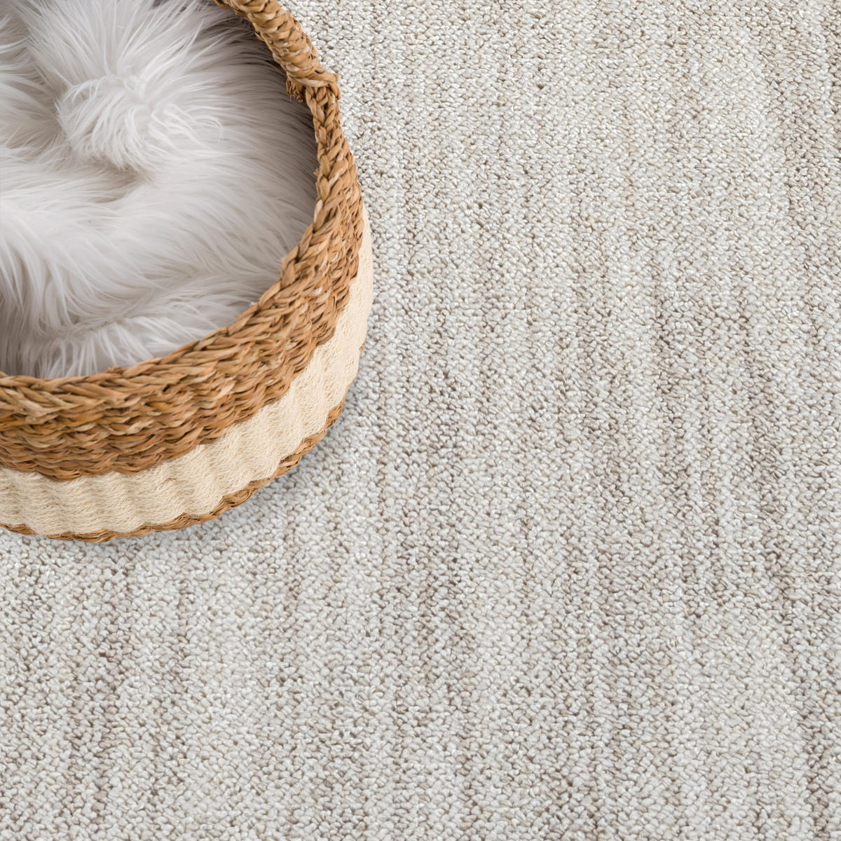 KURZFLOR-TEPPICH Clasico 0052 Taupe 160 cm Rund - Taupe, Textil (160/160cm) - carpet city