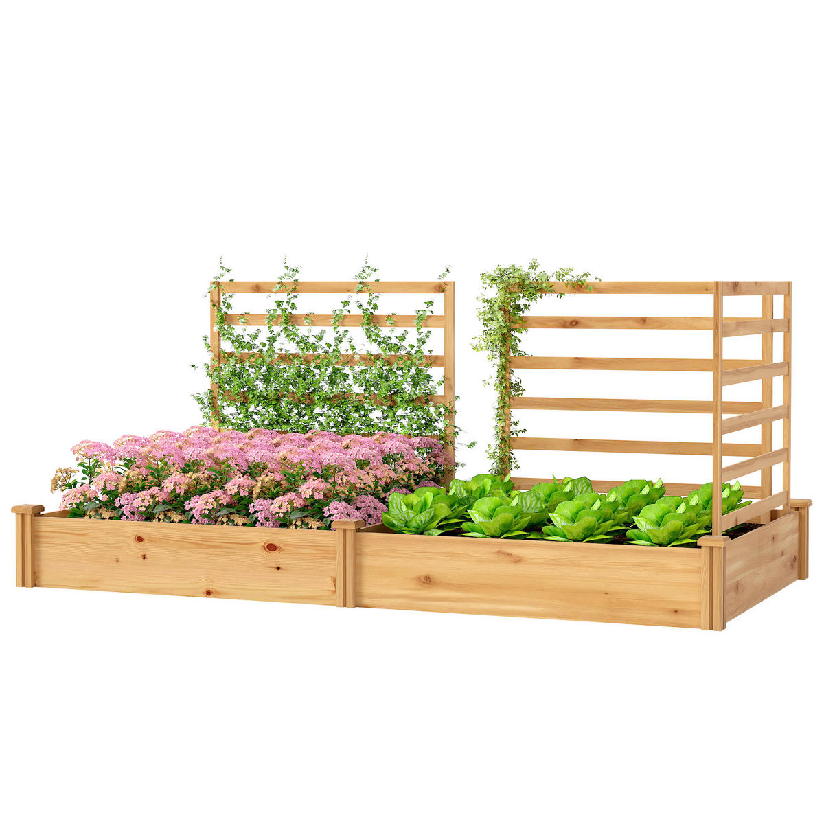 HOCHBEET DE-05397 Mit 3 Spalieren, Trennwand Natur - Naturfarben, Holz (240/102/125cm) - ComfortXL