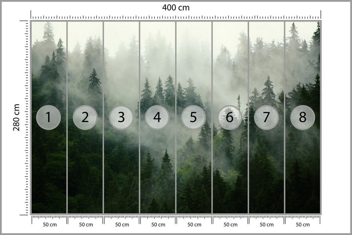 FOTOTAPETE Wald im Nebel Natur Landschaft 3D 400x280 - Grau/Grün, Papier (400/280cm) - Muralo