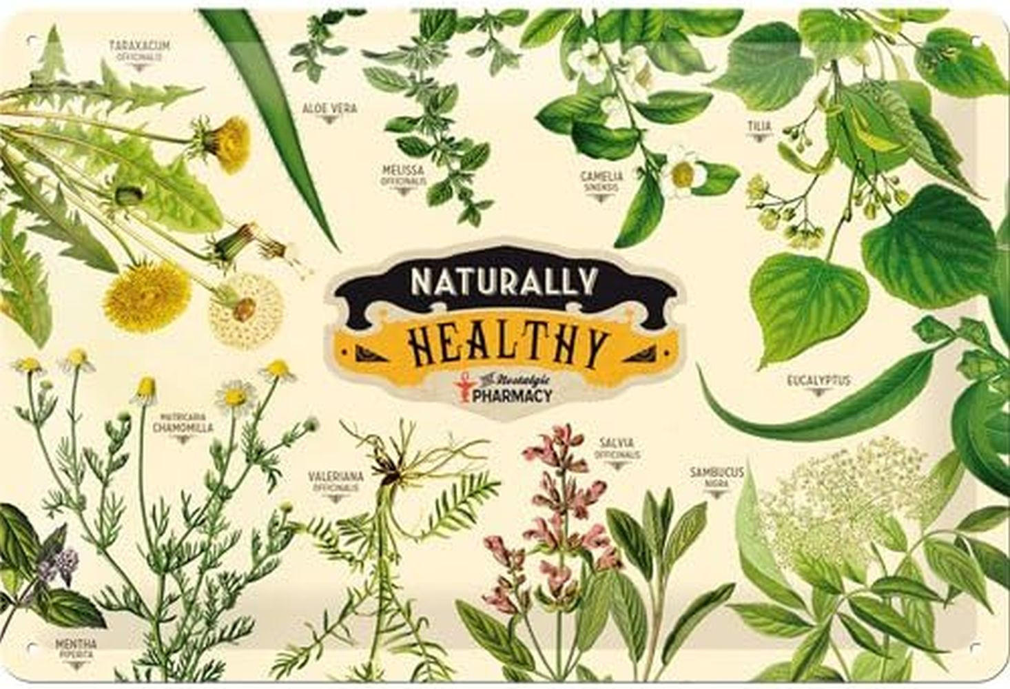 BLECHSCHILD 20/30 cm Pharmacy Naturally Healthy - Multicolor, Metall (30/20/0.2cm) - Nostalgic-Art