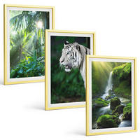 BILDER SET 3er Set - 40x60 cm Goldrahmen - Dschungeltigerwasserfall - Goldfarben, Kunststoff (40/60cm) - TULUP