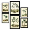 POSTER Set Mit 6 Palmen In Vintage A3 & A4 Rahmenlos - Klar, Papier (29/3cm) - Nacnic