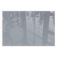 GLASPLATTE für Kamin 120x80 cm - Grau, Glas (120/80/0.4cm) - TULUP