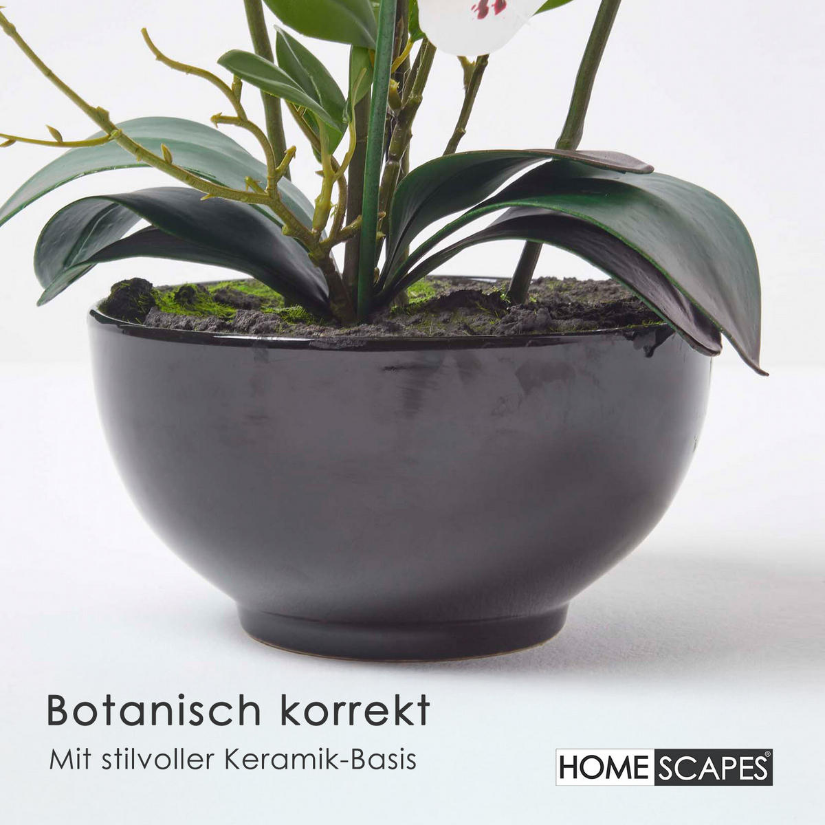 KUNSTBLUME Orchidee weiß-pink in Deko-Schale, 62 cm - Weiß, Kunststoff (62cm) - Homescapes