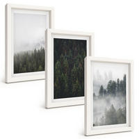 BILDER SET 3er Set - 20x30 cm Weißer Rahmen - Grüne Wälder Nebel Natur - Weiß, Kunststoff (20/30cm) - TULUP