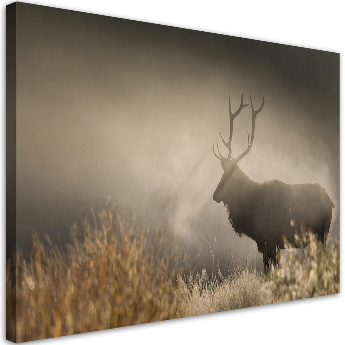 WANDBILD hirsch in der nebel natur - Beige, Textil (60/40cm) - Feeby