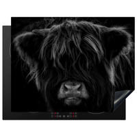 HERDABDECKPLATTE Schottischer Highlander - Kuh - Schwarz - Weiß - Tiere Induktionsmatte 77x59 cm - Schwarz, Kunststoff (77/59/0.2cm) - MuchoWow